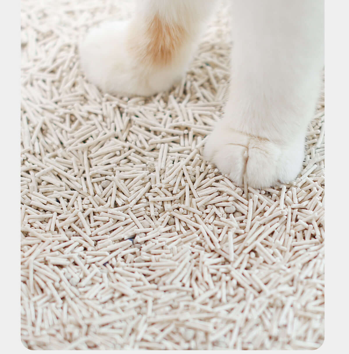 3-in-1 Mixed Crushed Bentonite and Tofu Cat Litter